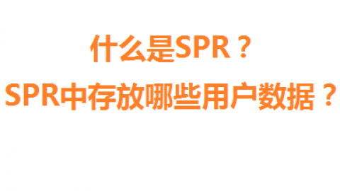 什么是SPR？SPR中存放哪些用户数据？