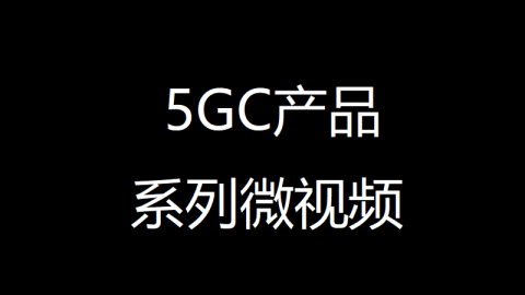 5GC产品系列微视频：云原生的NRF长啥样？